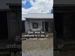 Next video is Antique, Vintage, Thrifting in this charming shop that's only open a few times a year!