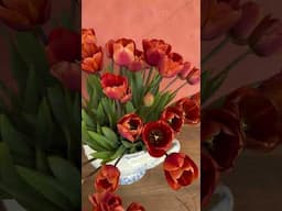 Tulip mania for you today - if you have a glut mass them in vases and enjoy x #fyp