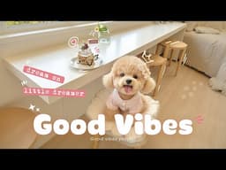 [作業用BGM] 朝が楽しみになる音楽  🍰「なんか今日、いい日かも」って思える朝BGM - Daily Routine