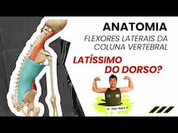 Flexão Lateral da Coluna: Que Músculos Produzem Esse Movimento?
