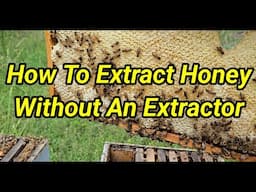 How To Extract Honey Without An Extractor