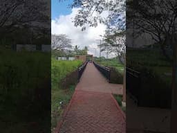 Chennai’s First Wetland Sponge Park v2 | Edu-Archs