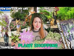 Weekend of plant shopping🌷🍃 bullet journaling📖 baking 🍪 exploring 🫖 and visiting mom in rehab