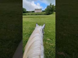 Riding into a Fairytale on a Percheron Draft Horse! 😍✨🐎🏰 #horse #equestrian
