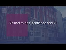 LSE Philosophy Research: Animal Minds, Sentience and AI