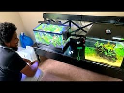 he found his happy place… Peaceful Planted Aquariums