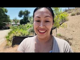 How to Keep Fruit Trees Flourishing and Thriving! TIPS 🌳  Tricks! FULLY TRANSPARENT @dorseygreen7912