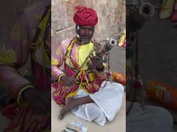 Street Performer of Jaipur