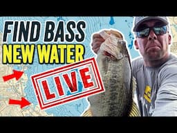 DOMINATE! 🏆 BASS Elite Pro's SECRETS For How To Find Fish FAST!