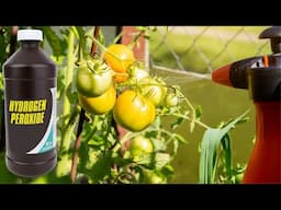 10+ Miraculous Benefits Of Hydrogen Peroxide In Your ENTIRE GARDEN