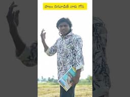పొలం దిగవడితే నాకు గోస #dhoomdhamcomedy #entertament #telugufunny  #funnyvideos2024