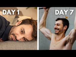 8 Holistic Wellness Habits That Are Life-Changing