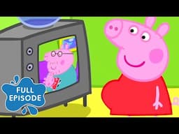 Baby Peppa is on TV! | Kids Cartoon | Mini Movie | Peppa Pig Tales