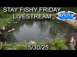 Stay Fishy Friday livestream  5/30/25