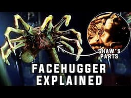 Facehugger Explained - Dark Origin REVEALED in Shaw's Death Deleted Scene