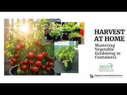 Harvest at Home: Mastering Vegetable Gardening in Containers