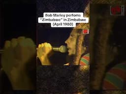 Bob Marley performs Zimbabwe in Zimbabwe #reggaemusic #bobmarley #zimbabwe #reggae