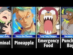 How Luffy Sees Everyone in One Piece