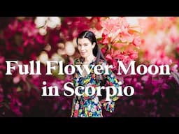 Full Flower Moon In Scorpio Feng Shui: Step Into Your Genius Zone!
