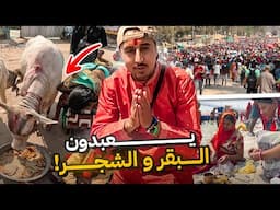 يعبدون البقر و الشجر… الحج الهندوسي 🇮🇳