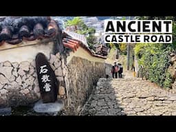 Exploring Shuri: Ancient Roads, Historic Mausoleums, and Shuri Castle Lunch