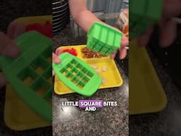 Lunch Box Ideas | Mom Hacks for Back to School | Lunch Ideas for Kids | Funbites Sandwich Cutter