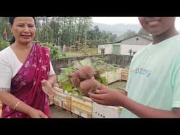 চাদ ৰ ওপৰত খেতি কৰিও আপুনি স্বাৱলম্বী হ'ব পাৰিব। লিডুৰ উদ্যমী মহিলা বৰষা গগৈ 🥰। Assamese Video