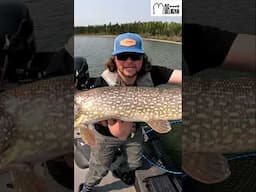 Giant Pike Fishing: Catching Monster Fish One at a Time!