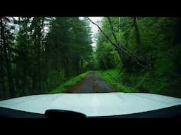 Dirt Road Sasquatch Search in the Shadow of Mt Hood (RTD)