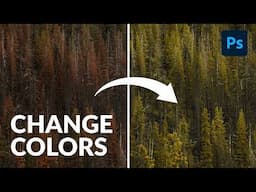 How to Change the Color of Foliage in Photoshop