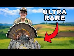 I Hunted The Turkey Of A Lifetime!