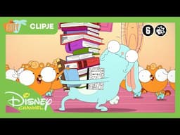 Kiff | Het Brein | Disney Channel België-Nederland