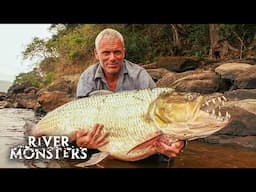 The Ultimate (Goliath) Tigerfish Compilation | River Monsters
