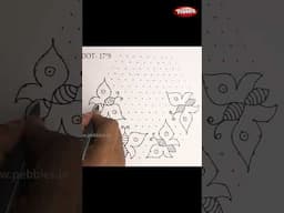 17*9 butterfly Kolam for Beginners