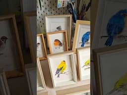 Got Them Framed! My Little Watercolor Birds #watercolor