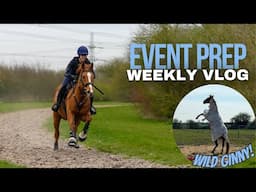 ONE WEEK TO GO… Event Prep with me | Weekly Vlog