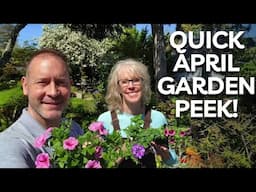 April Garden Tour: Exciting New Plants for Spring!