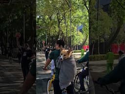 The Dogs of Mexico City #MexicoCityLife #dogsofyoutube