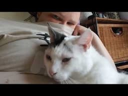 My cat rubbing against my face