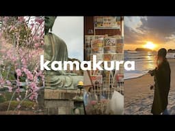 my first solo trip to kamakura, japan 🌸 plum blossoms, mt fuji, and the sea vlog