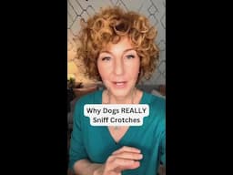 Why Dogs REALLY Sniff Crotches