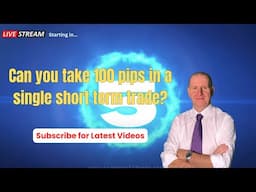 Trader mentoring - This is what you will be doing in seven days