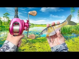 Hunting GIANT Bass On A LEGENDARY River (Crazy Catch)