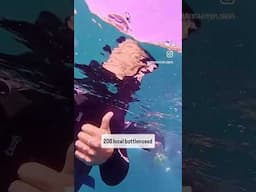 🌎 Around the World in 80 Days - Day 73! 🌎 #perth #swimwithdolphins #australia