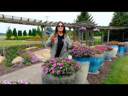 Plant Of The Day: June 16 - 22 (30% Off)