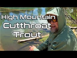 Fly Fishing for Wild Cutthroat in a Remote Mountain Lake