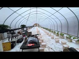 Hydroponic Greenhouses during a generational weather event.