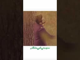 Rabb Ne Kiya Hai Karam! 💖✨ #AllahKaGhar #NabeelShaukatAli
