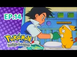 Pokémon: Indigo League எபிசோட் 14: Electric Shock Showdown | Pokémon Asia Official (Tamil)