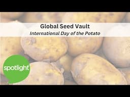 Global Seed Vault | International Day of the Potato | practice English with Spotlight